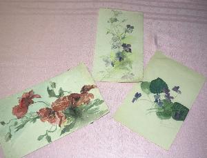 3 aquarelles de fleurs, aquarelles anciennes, coquelicots, violettes